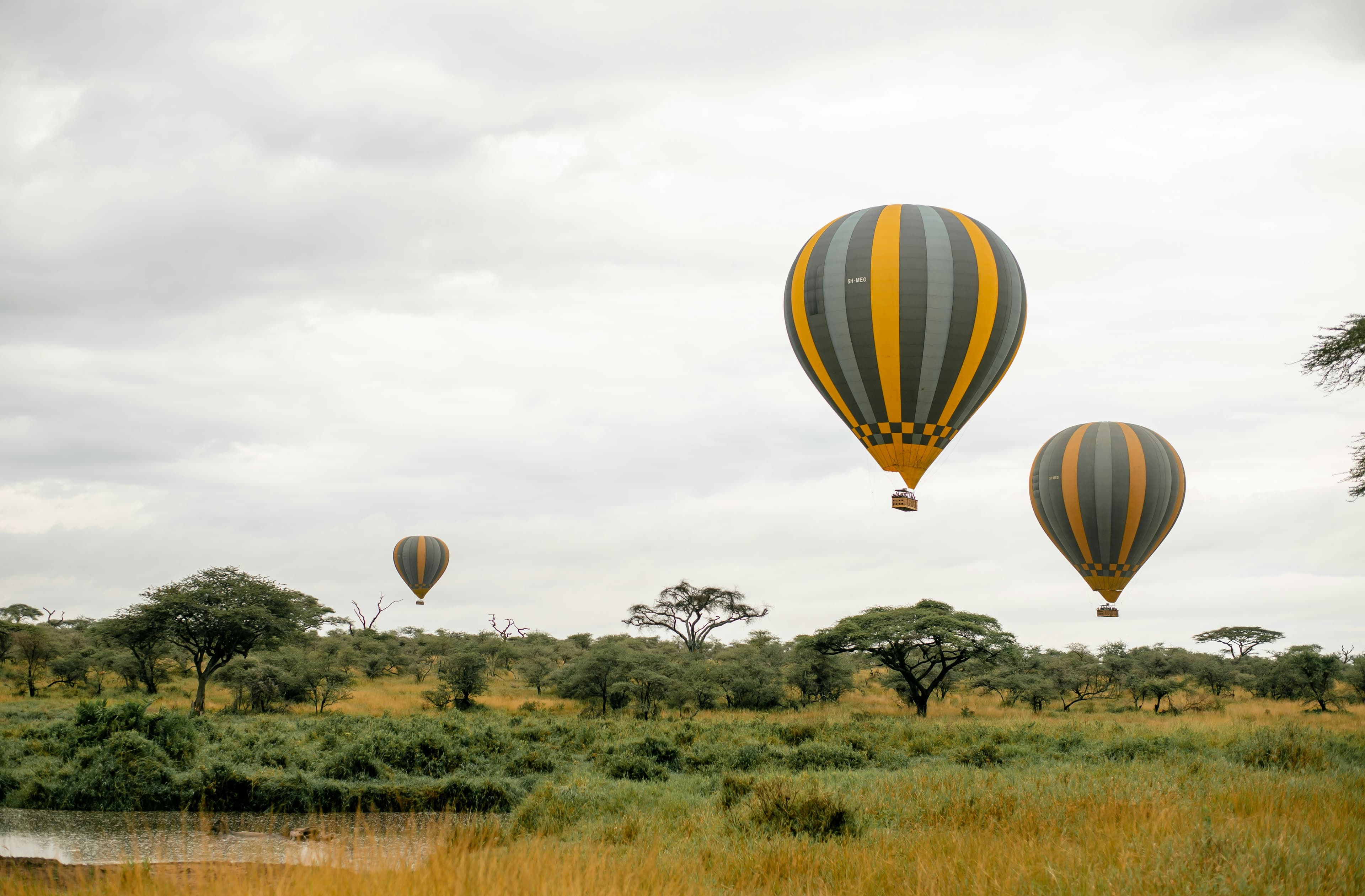Luxury Safari Experience